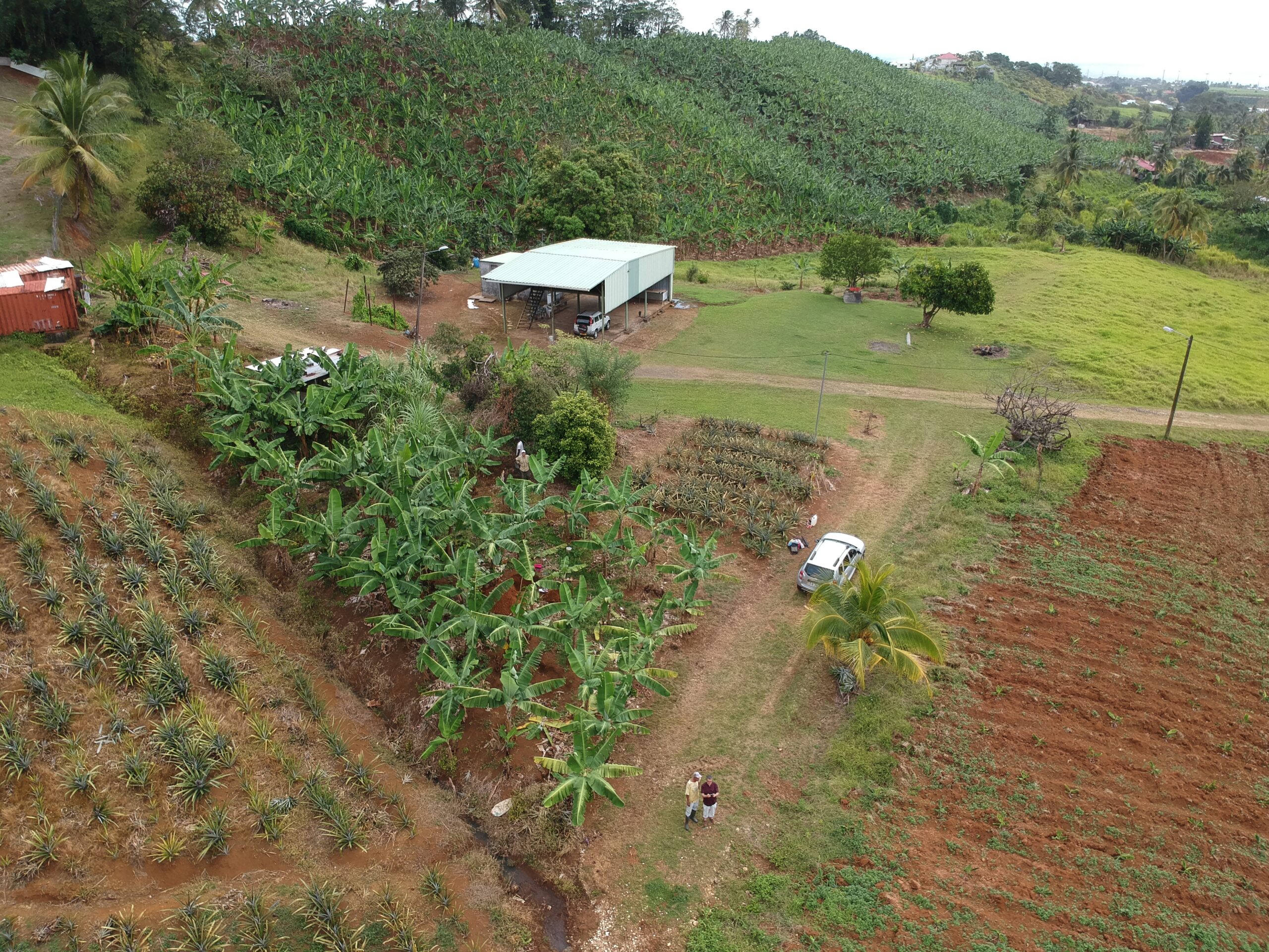 DCIM/100MEDIA/DJI_0074.JPG DCIM/100MEDIA/DJI_0074.JPG