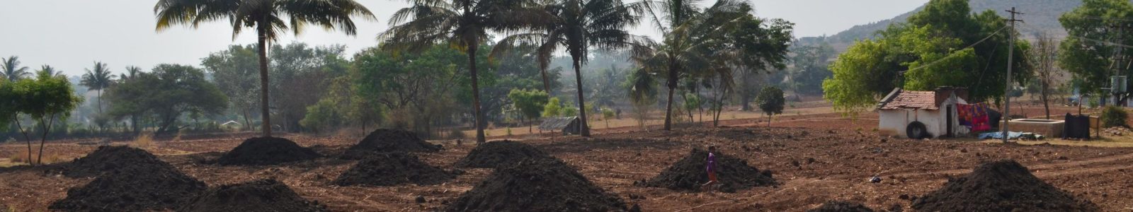 Epandage de sédiment sur parcelles en Inde