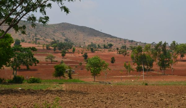 Paysage Tunisie